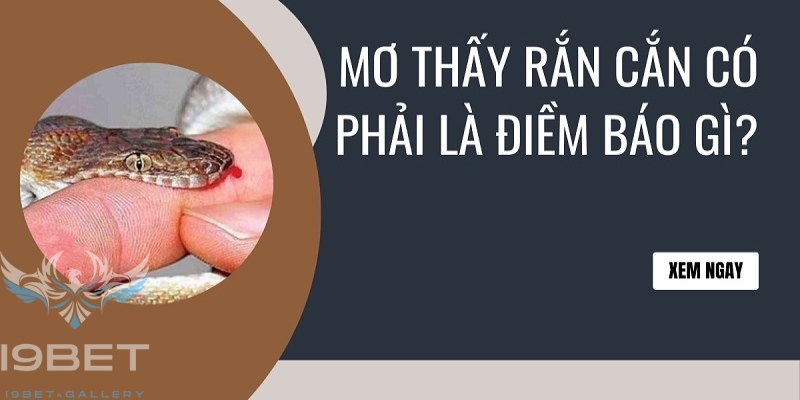 Rắn cắn chết người và những điềm báo đen đủi phía sau